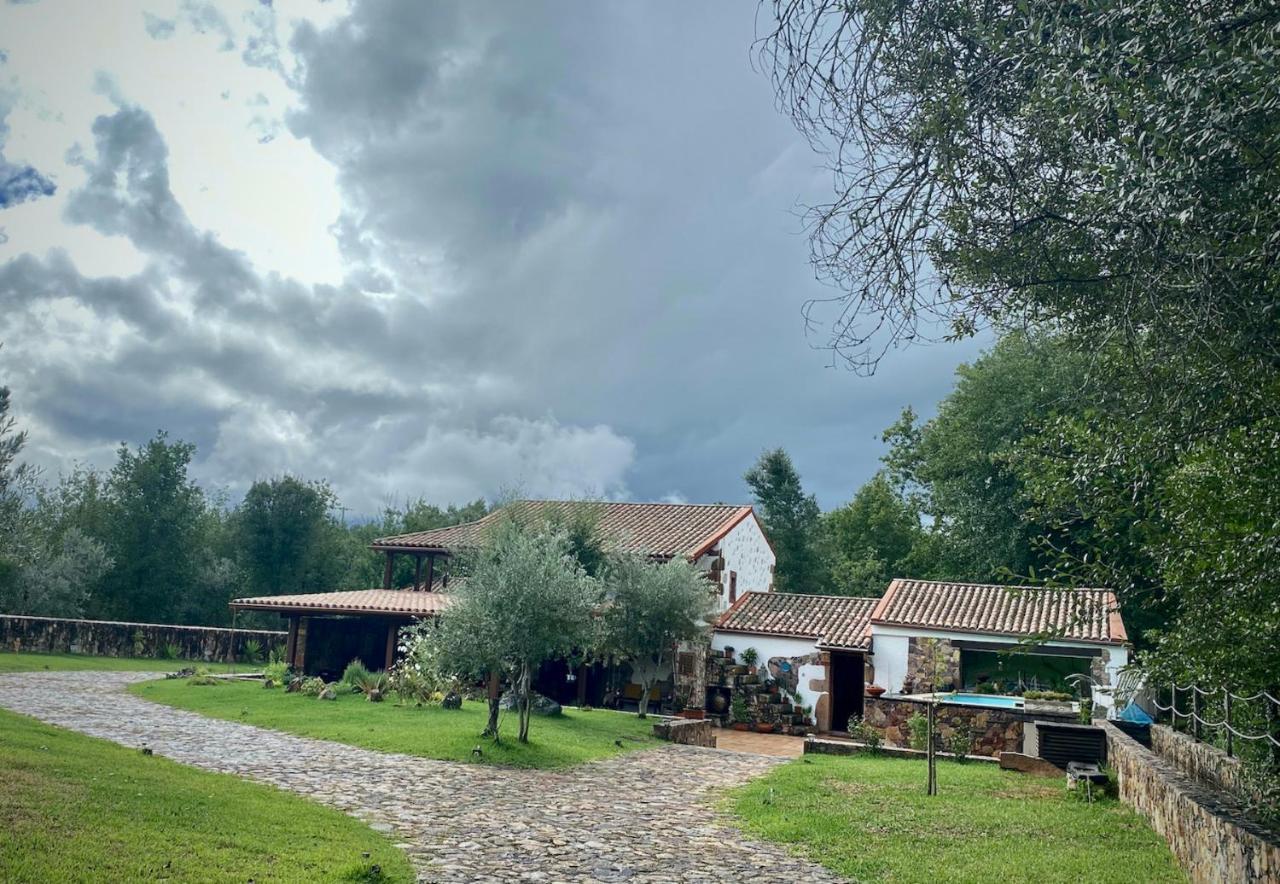 Ferienwohnung The Old Watermill Retreat - O Retiro Da Azenha Velha Vila Nova de Poiares Exterior foto